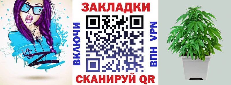 Продажа наркотиков Бор Конопля  Псилоцибиновые грибы  Амфетамин  Гашиш  МЕФ 