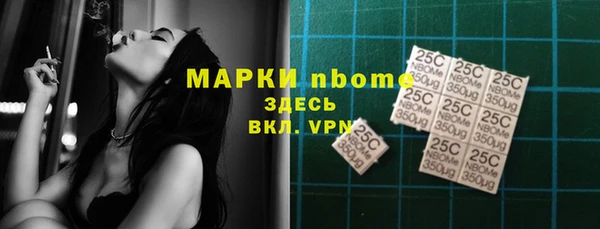 гашик Аркадак