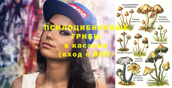 гидропоника Балабаново